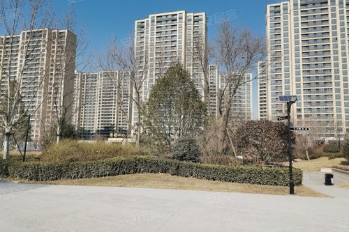 中新國(guó)際城綜合評(píng)測(cè) 優(yōu)點(diǎn)、不足、周邊中介及物業(yè)管理分析